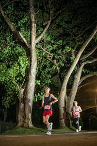 BIB: 
                            <button type="button" onclick="openModal(26547608)" class="btn btn-primary btn-sm float-right btn-popup" data-toggle="modal" data-target=".modal-high-quality">
                        <i class="fas fa-shopping-cart"></i> Add to Cart
                    </button>
                                            <button type="button" onclick="isThisMe(26547608, true)" class="btn btn-success btn-sm float-right btn-popup btn-isme hidden" data-toggle="tooltip" data-placement="bottom" title="นี่คือรูปของคุณใช่ไหม คลิกที่นี่เพื่อเอาเข้าอัลบั้ม">
                        <i class="fas fa-plus"></i> Add to album
                    </button>
                    <button type="button" onclick="isThisMe(26547608, false)" class="btn btn-warning btn-sm float-right btn-popup btn-isnotme hidden">
                        <i class="fas fa-ban"></i> Remove from album
                    </button>